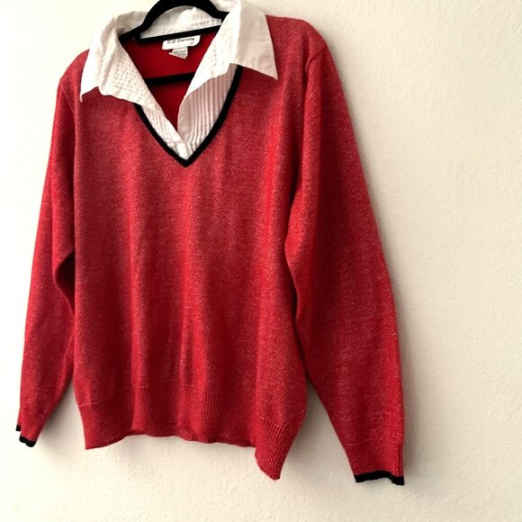 VINTAGE C. D. DANIELS 2 IN 1 SHIMMER PLUS TOP GREAT CONDITION - Picture 4 of 10